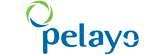 Seguros Pelayo Pelayo